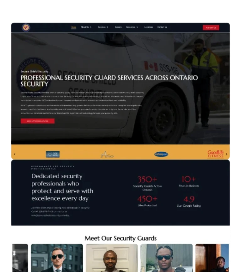 Dr. David Mok project preview